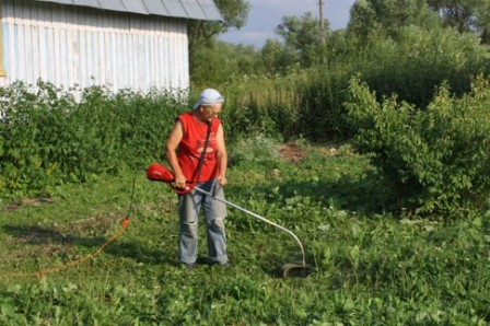 Ніж укомплектовується неоднаковим кількістю зубів, або в окремих випадках замість зубців є лопаті. Зі скошуванням старої трави та невеликих пагонів кущовий рослинності, ножі, що мають зуби справляються краще.