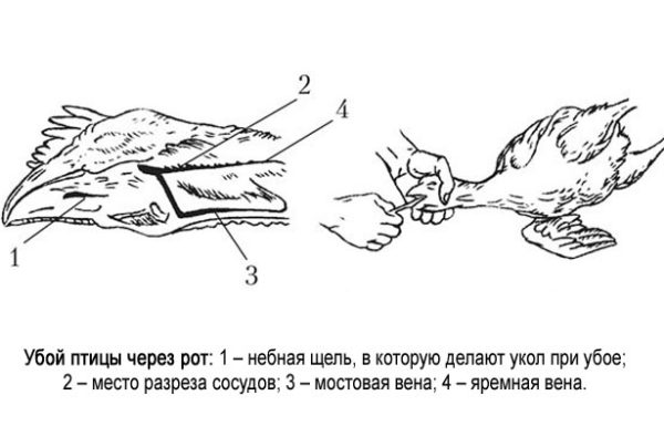 Забій через рот в домашніх умовах