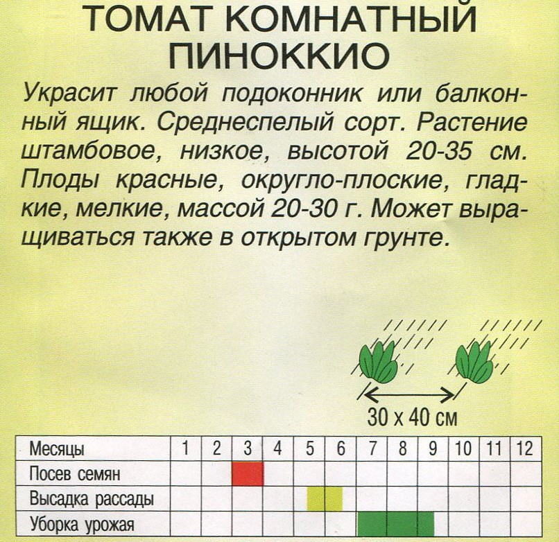 Інструкція по посадці і вирощуванню помідорів Пікокк