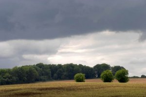 Інструкція по застосуванню гербіциду Ураган Форте