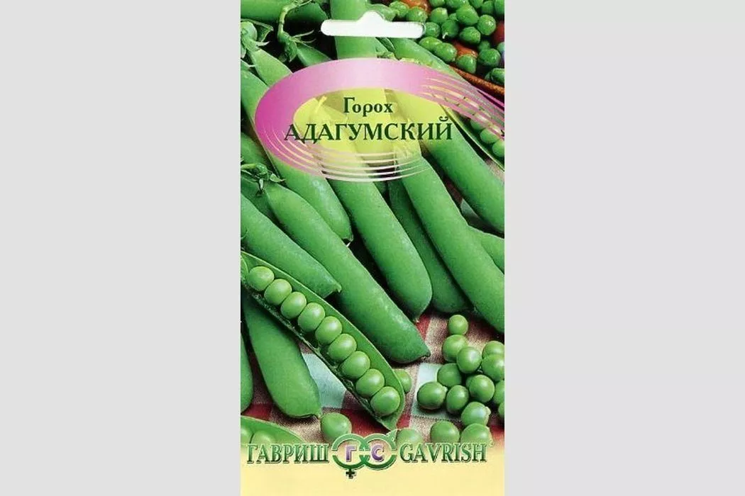 Горох лущильний: характеристики, сорти, посадка і догляд