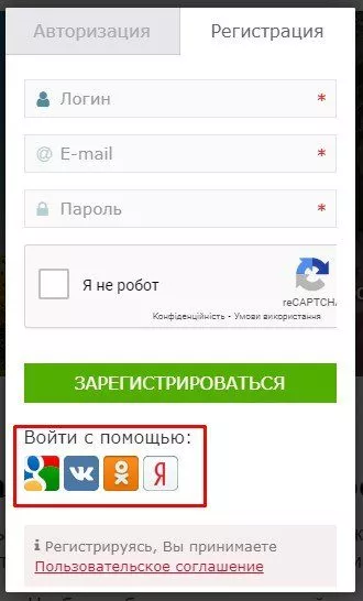 Підготовка смородини до зими - обрізка, добриво, укриття, терміни, помилки